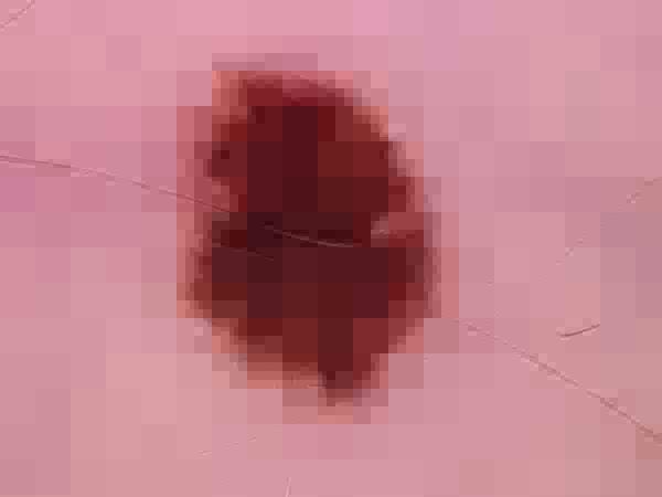 Obraz do oceny