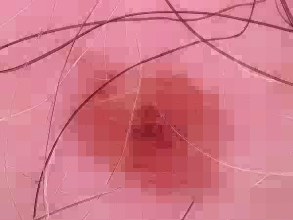 Obraz do oceny